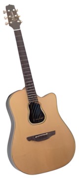 Takamine