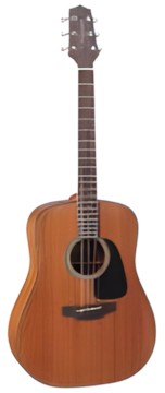 Takamine GD11M