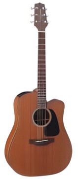 Takamine GD11MCE NS