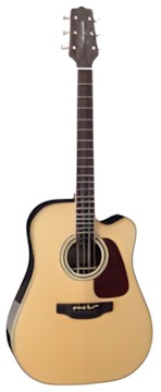 Takamine GD90CE-ZC