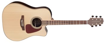 Takamine GD93CE