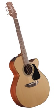 Takamine P1NC