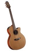 Takamine P3NC