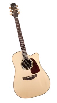 Takamine P4DC
