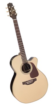 Takamine P5NC