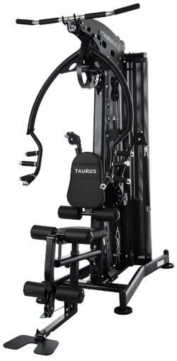 Taurus