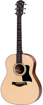 Taylor 317 V-Class