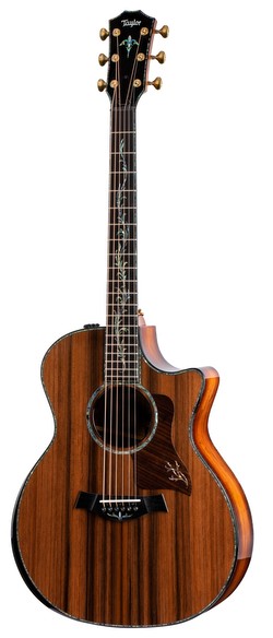 Taylor PS14ce