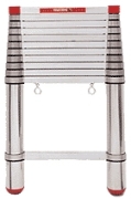 Telesteps