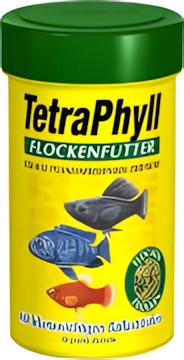 Tetra