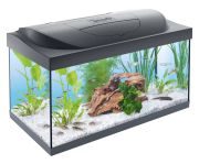 Tetra Starter Line LED Aquarium