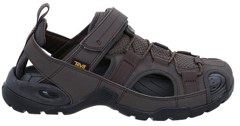 Teva