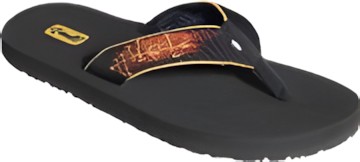 Teva