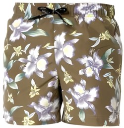 Tommy