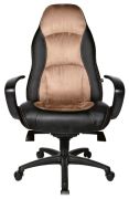 Topstar Speed Chair