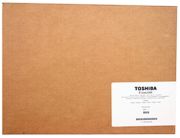 Toshiba