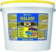 Tropical Malawi 11 l Tropical Malawi 11 l