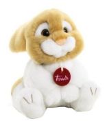 Trudi