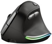 Trust Bayo Ergonomic Rechargeable Wireless Mouse (24110)