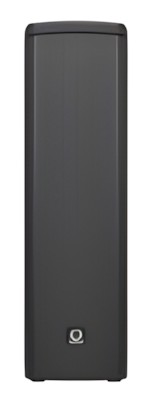 Turbosound iP300
