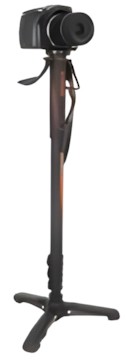 Vanguard