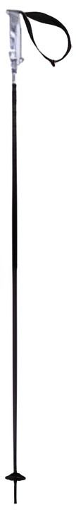 Völkl Phantastick 2