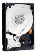 Western Digital Laptop Mainstream 500GB (WDBMYH5000ANC)