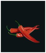 Wenko Glasrückwand Hot Peperoni 60 x 70 cm