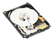 Western Digital Scorpio Blue 120GB (WD1200BEVE)