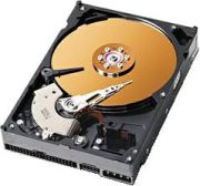 Western Digital Caviar Blue 160GB (WD1600AAJB)