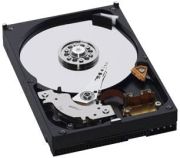 Western Digital AV 160GB (WD1600AVJB)