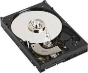 Western Digital Caviar Blue 250GB (WD2500AAJS)