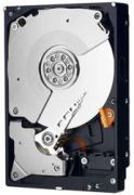 Western Digital WD Blue 250GB (WD2500AAKX)
