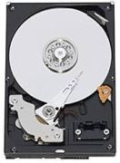 Western Digital Caviar Green 1TB (WD10EAVS)