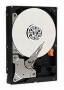 Western Digital Caviar Green 1TB (WD10EARX)