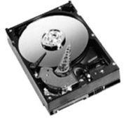 Western Digital RE3 250GB
