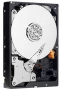 Western Digital WD AV-25 500GB (WD5000LUCT)