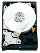 Western Digital WD RE SAS 2TB (WD2000FYYZ)
