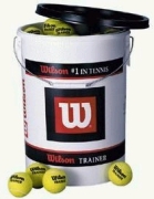 Wilson