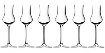 WMF