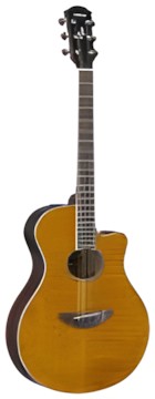 Yamaha APX600FM