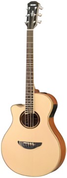 Yamaha APX700IIL