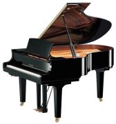 Yamaha C3X TA2 Yamaha C3X TA2