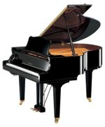 Yamaha GC1 SH Yamaha GC1 SH