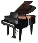 Yamaha GC1 TA Yamaha GC1 TA