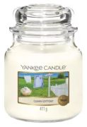 Yankee