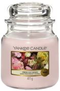 Yankee
