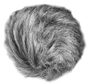 Zoom WSU-1