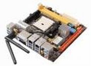Zotac