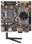 Zotac